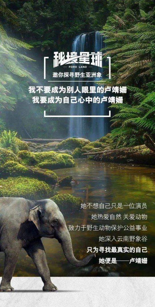 呆萌动物对对碰