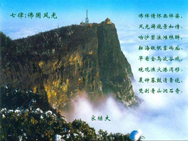 探探猫历险记2